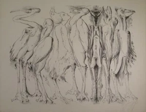 Günter Grass  - Bild 1 von 5