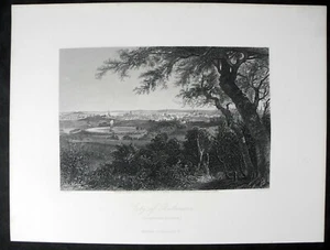 Stadt Baltimore aus Druid Hill Park - 1874 Stahlstich - Bild 1 von 1