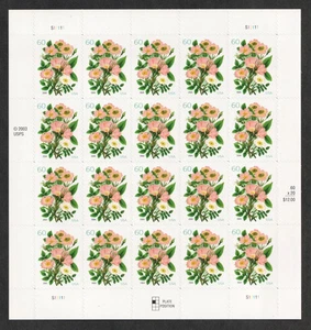 SFSTAMPS US Scott 3837 GARTEN BOTANISCH rosa Rosen Bogen mit 20 Briefmarken postfrisch 2004 - Bild 1 von 1