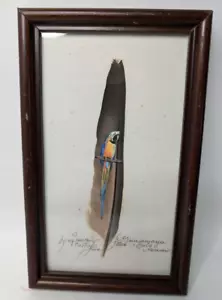 Costa Rican handgemalt Feder Kunstwerk gerahmt signiert #447 Luciana Ravizza - Bild 1 von 10