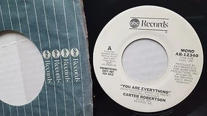 CARTER ROBERTSON - You Are Everything AOR Pop Rock 1978 MONO / STEREO Promo 7" - Imagen 1 de 4