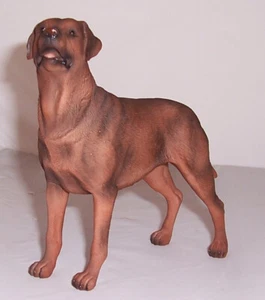 Best of Breed - Labrador Chocolate Standing NC1394 - Imagen 1 de 1