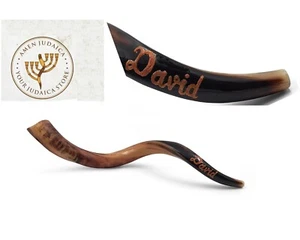 Cuerno Kudu judío soplando shofar 24-26 pulgadas con tu nombre - Imagen 1 de 3