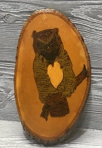 Vintage Owl on Wood Plaque Decor Wall Hanging Handmade Kitschy Midcentury - Picture 1 of 9