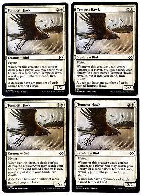 MTG 4X Tempest Hawk Tarkir Dragonstorm 0031 NM - Image 1 of 2