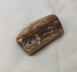 Petrified Wood Polished Piece ONE small Piece - Picture 1 of 8