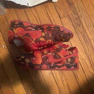 Size 9 - Nike The Wizard of Oz x Dunk SB Low Poppy Field - Picture 1 of 10