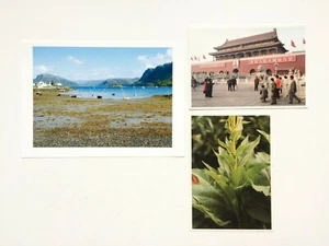 Original color photo print SIGNED / SIGNED Thomas STRTH - Picture 1 of 2
