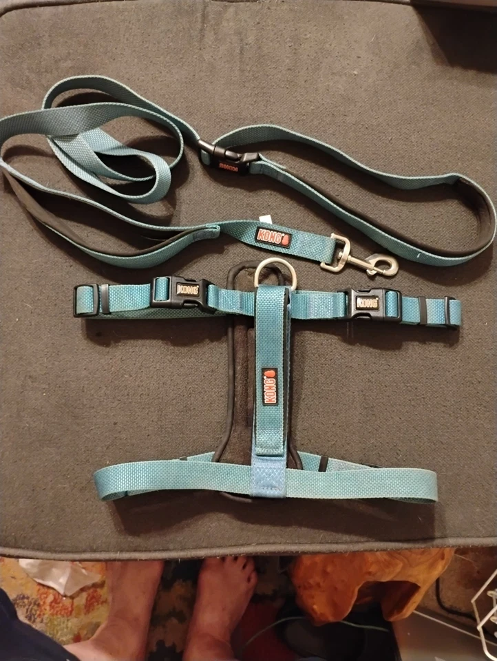 Kong Hands-free Leash & Harness - Blue (Large) - Image 1 of 1