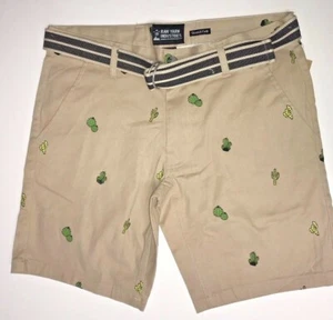 Raw Yarn Industries Twill Khaki Cactus Print Belted Walking Shorts Size 36 - Picture 1 of 7
