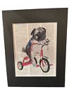 Pug On Tricycle Picture Print Printed On Dictionary Page Matted 11x14”