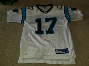 Carolina Panthers Jake Delhomme #17 Jersey White Youth Large L NFL Equipment - Picture 1 of 10