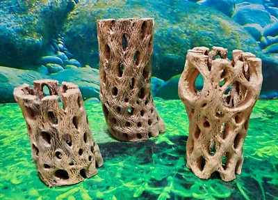 3 pcs strong TEDDY BEAR CHOLLA Wood | Air Plant | Aquarium Terrarium Cave Tunnel - Image 1 of 4