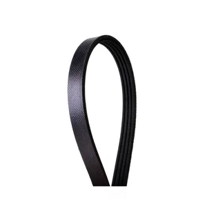 Serpentine Belt-Multi-V Continental Elite 4040550 - Bild 1 von 3