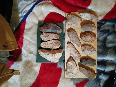 Rascadores/despelleadores bifacéticos - Herramientas arcaicas nativas americanas - Río Tennessee Foto 1 de 4