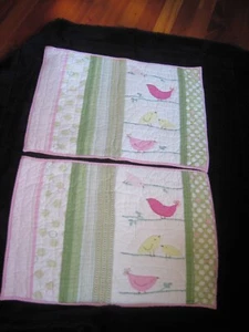 2 Pottery Barn Kinder gesteppte Küken rosa & limette Patchwork Standard Kissenbezüge - Bild 1 von 12