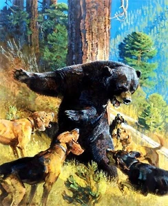 ANTIKE REPRODUKTION FOTO SCHWARZBÄRENJAGD MIT HUNDEN # 2 - Bild 1 von 1