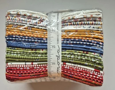 Tela de edredón Moda Graze de Sweetwater FAT 8º PAQUETE 34-9" X 22" Foto 1 de 3