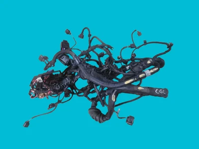 Telar de cableado motor AUDI A5 8T A4 B8 2013 8K 2.0 TDI CGL 8K2971072MC Foto 1 de 4