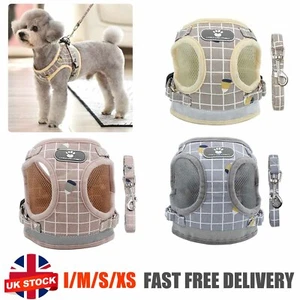 Set Imbracatura e Guinzagli da Passeggio per Cuccioli Cane Piccolo Gatto Forniture per Animali Domestici Gilet Riflettente~ - Foto 1 di 32