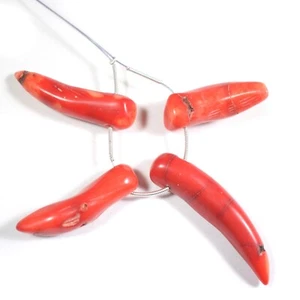 100% Natural Italian Red Coral Tooth Shape Gemstone Loose Beads 4Pcs For Jewelry - Picture 1 of 5