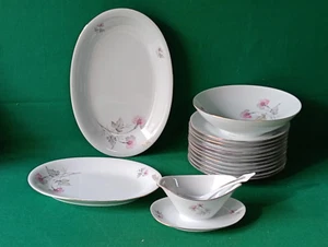 SERVIZIO PIATTI X 11 PORCELLANA SCHIRNDING BAVARIA VINTAGE. CI36 - Foto 1 di 14