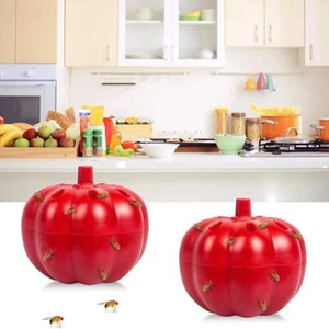 Small pumpkin Fruit Fly Control Monitor Traps ~~✨y+ R3H9 - Picture 1 of 10