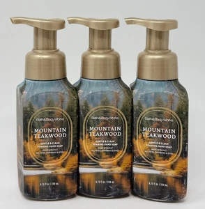 3 BATH & BODY WORKS MOUNTAIN TEAKHOLZ SANFT SAUBER SCHÄUMENDE HANDSEIFE WASCHPUMPE - Bild 1 von 7