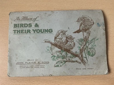 John Player Cigarette Cards in Album - Birds & Their Young 1937, Nice Example - Image 1 of 4