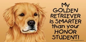 Mein GOLDEN RETRIEVER ist INTELLIGENTER als Ihre Ehre Student lustiger Auto Hundemagnet 4x8 - Bild 1 von 3