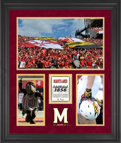 Maryland Terrapins Byrd Stadium Framed 20' x 24' 3-Opening Collage Cover