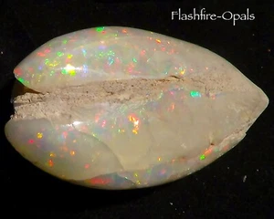 95,5ct. GEM OPAL MUSCHEL . HAMMER FARBEN SAMMLERTRAUM + Video "FLASHFIRE-OPALS - Picture 1 of 8