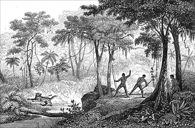 BRÉSIL - CHASSE au JAGUAR dans la FORÊT AMAZONIENNE au 19e siècle - Gravure 19e - Photo 1/2
