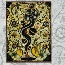 I Feel Alright von Earle,Steve | CD | Zustand gut - Bild 1 von 2