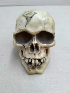 Scull Coin Bank - Picture 1 of 5