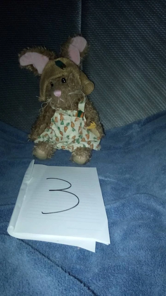 Brass Button Bear Plush Bunny - Image 1 of 1