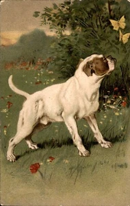 Staffordshire Terrier (?) - 1900s Artist Signed Vintage Postcard, Dog - Picture 1 of 2