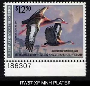 RW57 XF MNH FLAWS PLATE# 1990 Black Bellied Whistling Duck Federal Duck Stamp - Picture 1 of 5
