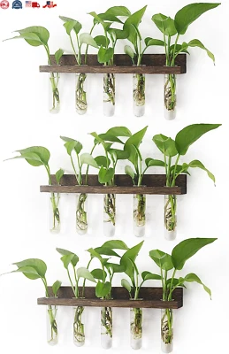 Tubos de estación de propagación de plantas, mini tubos de ensayo de vidrio para colgar en la pared de 3 niveles Foto 1 de 4