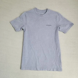 Patagonia Responsabili-Tee Shirt Uomo Taglia S Outdoor Logo Natura Grigio - Foto 1 di 7