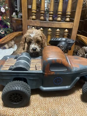 ASC70019  Team Associated Trophy Rat RTR 1/10 Electric 2WD Brushless Truck w/... - Image 1 of 4