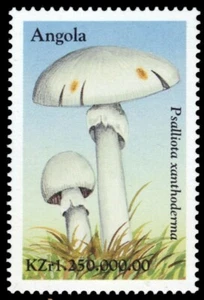 ANGOLA 1096 - Mushrooms "Psalliota xanthoderma" (pb50200) - Picture 1 of 1