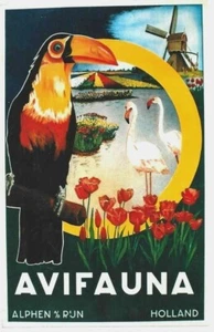 Original vintage poster AVIFAUNA DUTCH BIRD PARK c.1940 - Picture 1 of 1