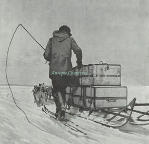 Captain Amundsen Expedition Dog Sled 1912 Photo Article A588 - Picture 1 of 2