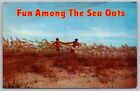 Sea Oats Fun Sandy Beach Natural Color Dexter Press West Nyack NY VNG Postcard