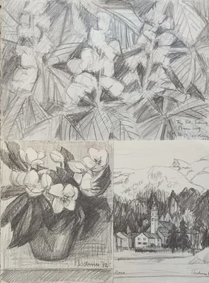 Segl Sils Maria Blumen - Bodmer - 2 signierte Lithographien 1 Zeichnung - 1972-3 - Bild 1 von 4