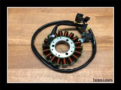 Stator Allumage Alternateur pour Suzuki SV 650 de 1999 2000 2001 2002 NEUF