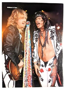 AEROSMITH / STEVEN TYLER & BRAD WHITFORD / REVISTA RECORTE PINUP DE PÁGINA COMPLETA (1) - Imagen 1 de 1
