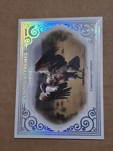 2024 CHINERIOUS VULTURE KAKAWOW DIVERSE CARD #DK-I-101 ANIMAL EXTREMES CHROME - Picture 1 of 2