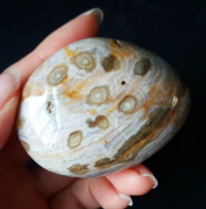 Rare 93G Natural Polished Orbicular Ocean Jasper Reiki Healing Stone YP354 - Imagen 1 de 12